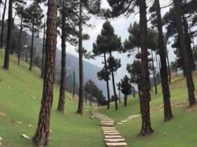 Dhanaulti attractions
