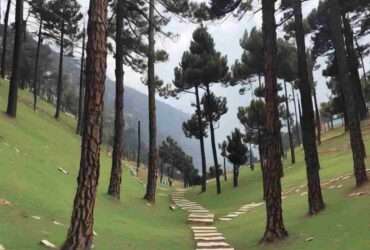 Dhanaulti attractions